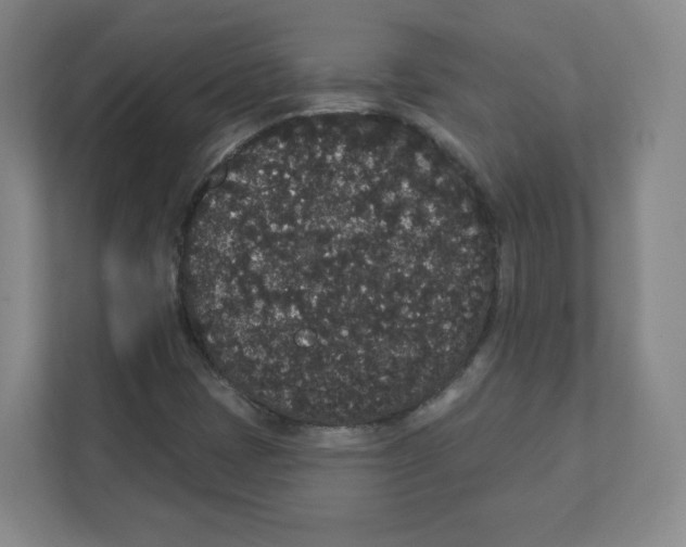 X0000111831401200908201141