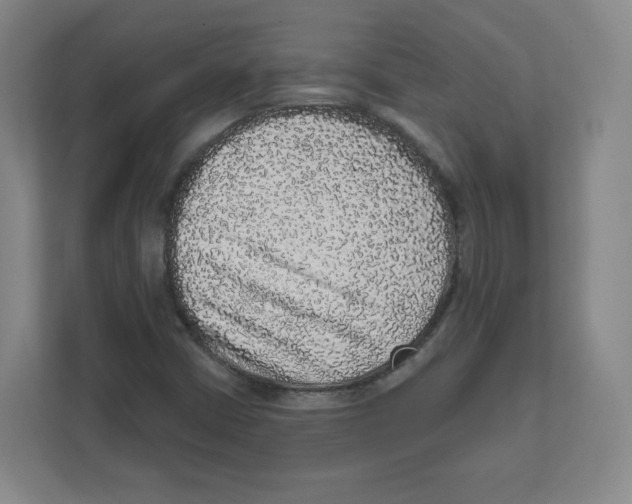 X0000111831402200908201141