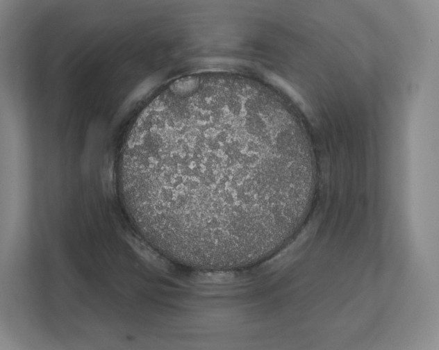 X0000111831403200908201141