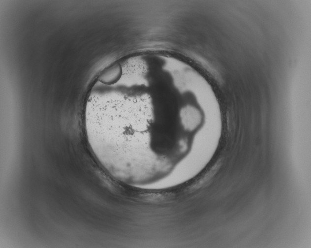 X0000111831405200908201141