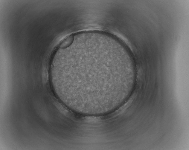 X0000111831407200908201141