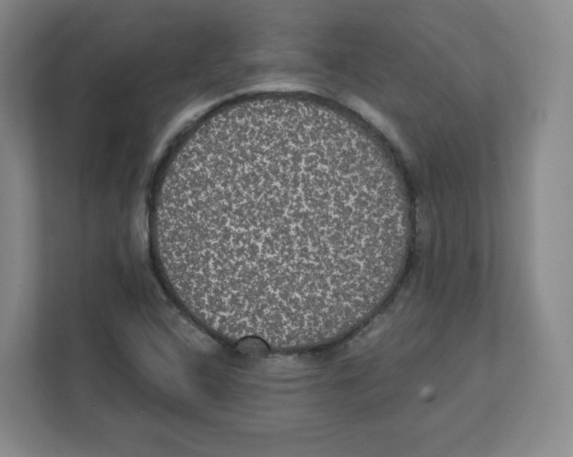 X0000111831408200908201141