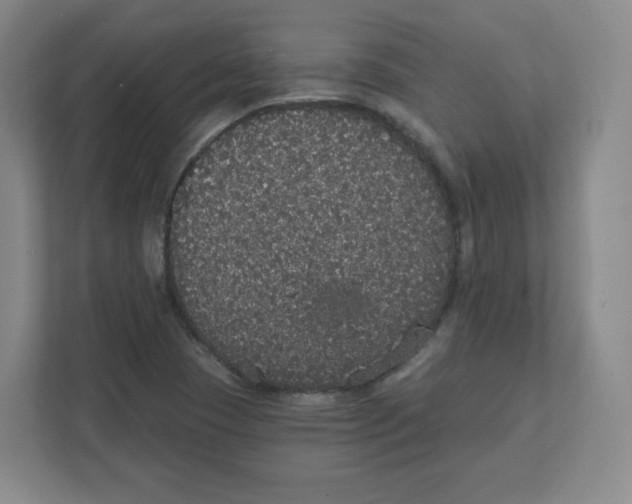 X0000111831409200908201141