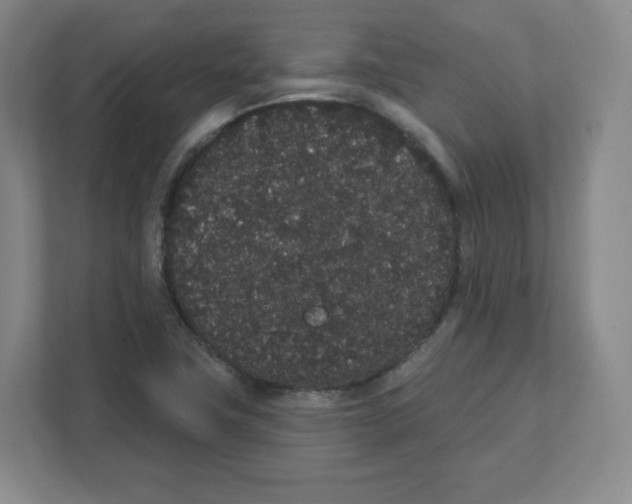 X0000111831411200908201141