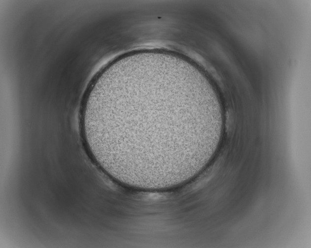 X0000111831412200908201141