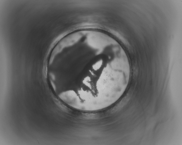 X0000111831413200908201141