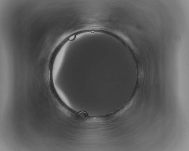 X0000111831414200908201142