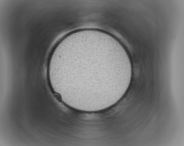 X0000111831416200908201142