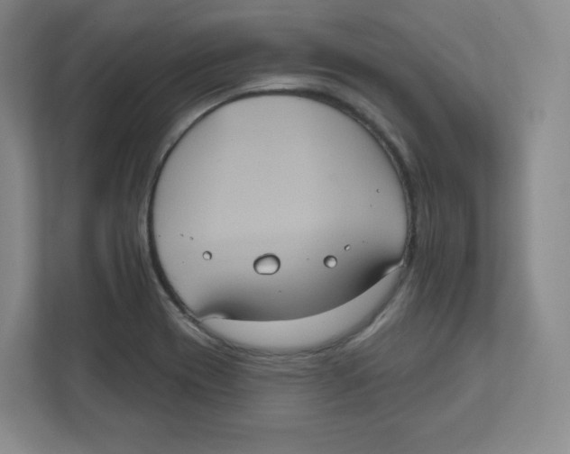 X0000111831417200908201142