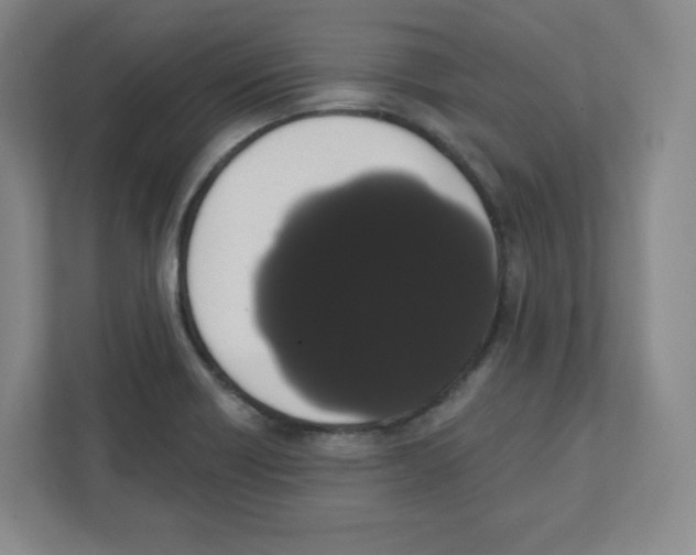 X0000111831418200908201142