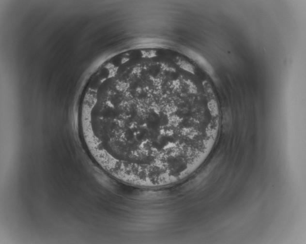 X0000111831419200908201142