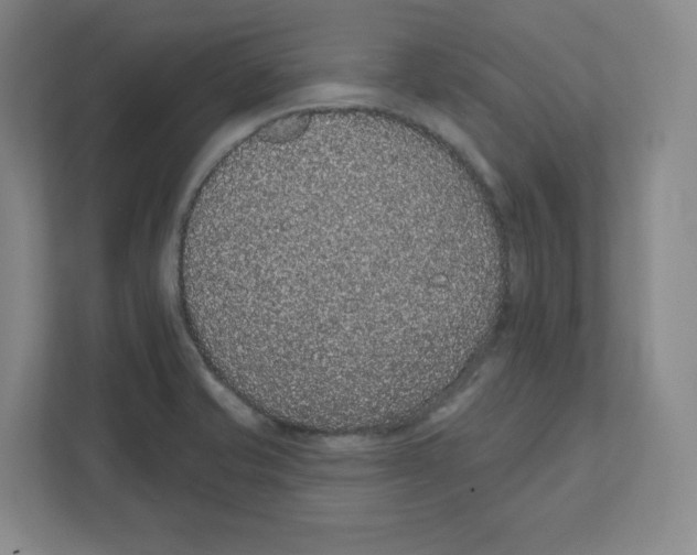 X0000111831421200908201142