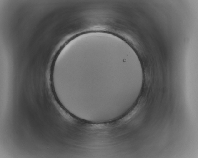 X0000111831422200908201142