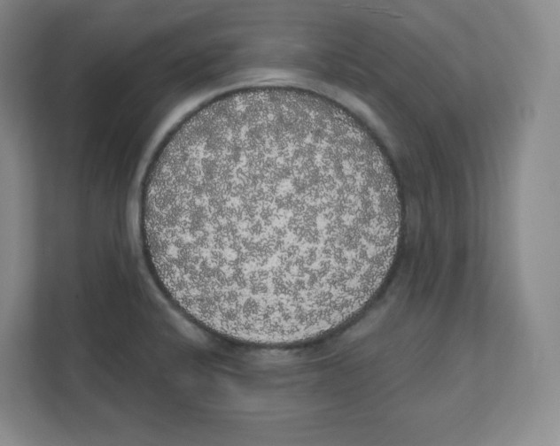 X0000111831424200908201142