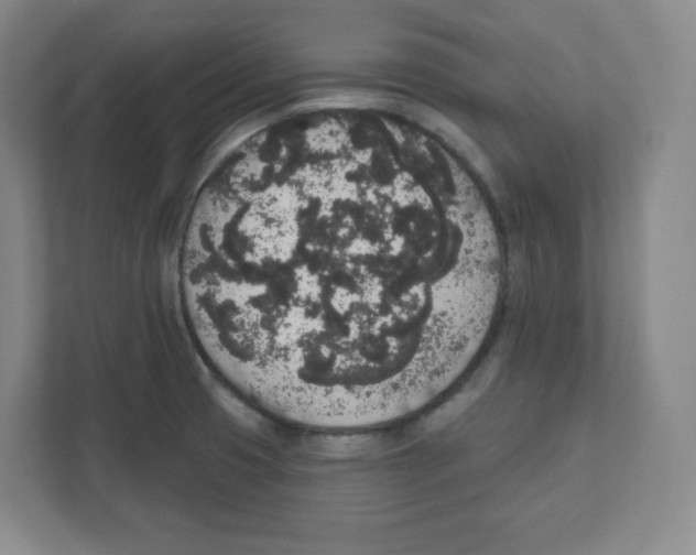 X0000111831425200908201142