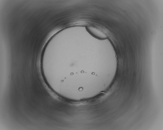 X0000111831426200908201142