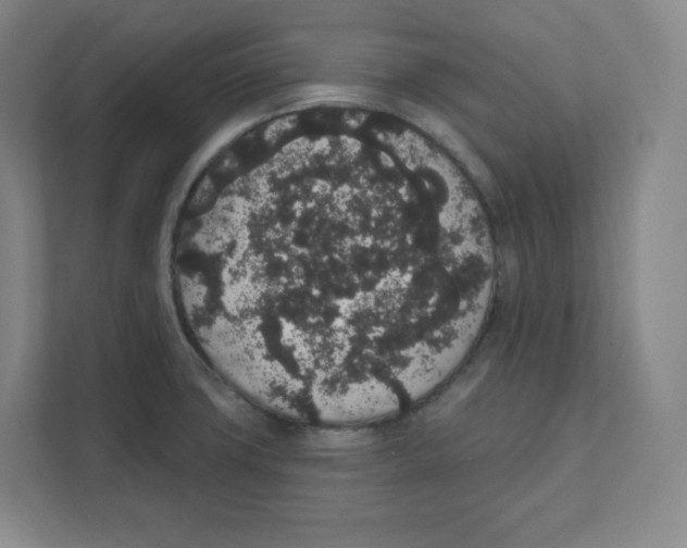 X0000111831427200908201142