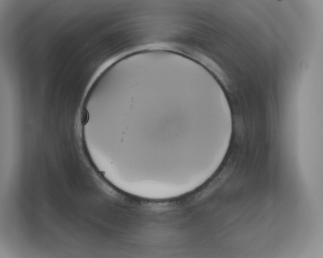 X0000111831428200908201142