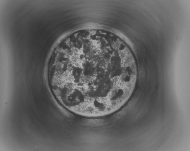 X0000111831429200908201142