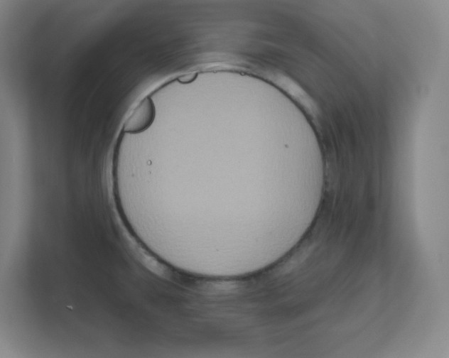 X0000111831431200908201142