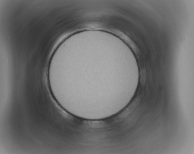 X0000111831432200908201142