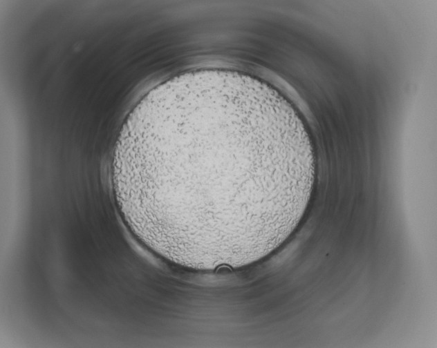 X0000111831433200908201142