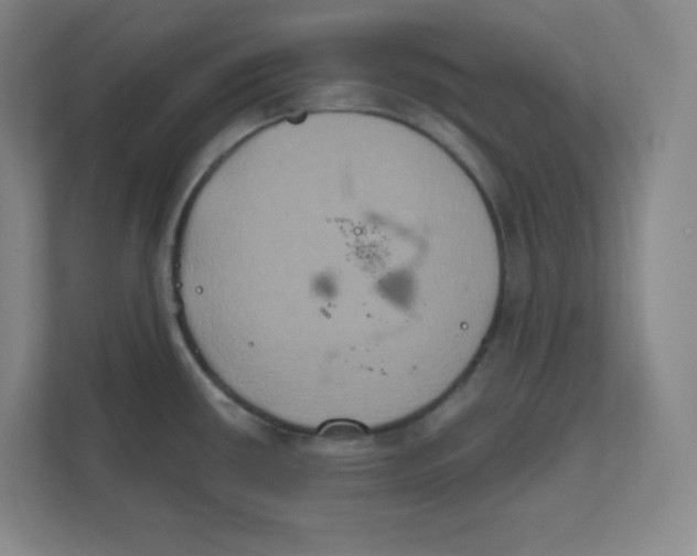 X0000111831434200908201142