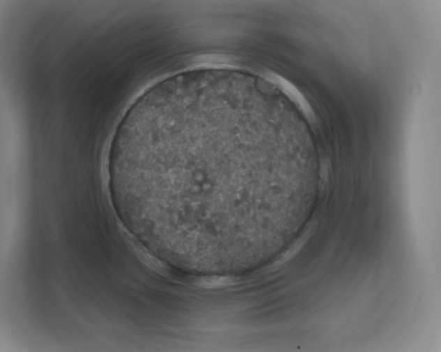 X0000111831435200908201142