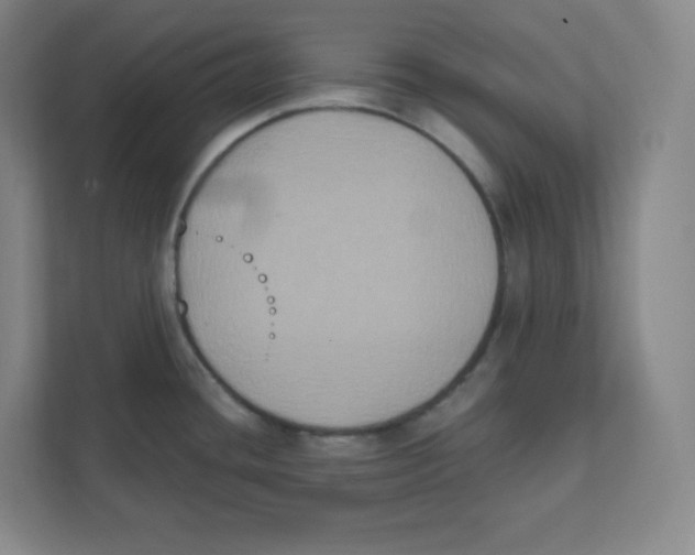 X0000111831436200908201142