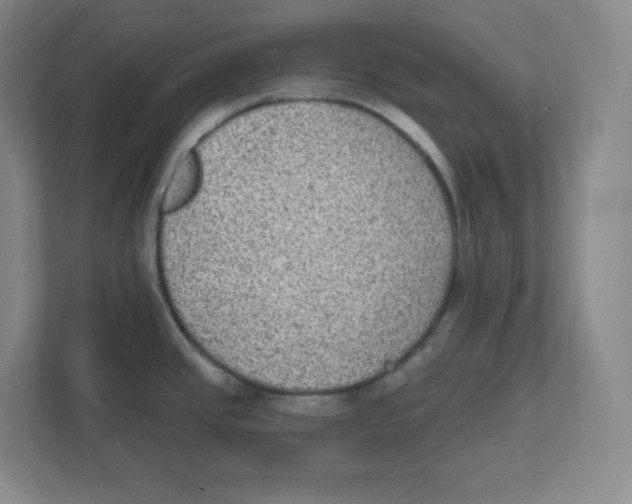 X0000111831437200908201142