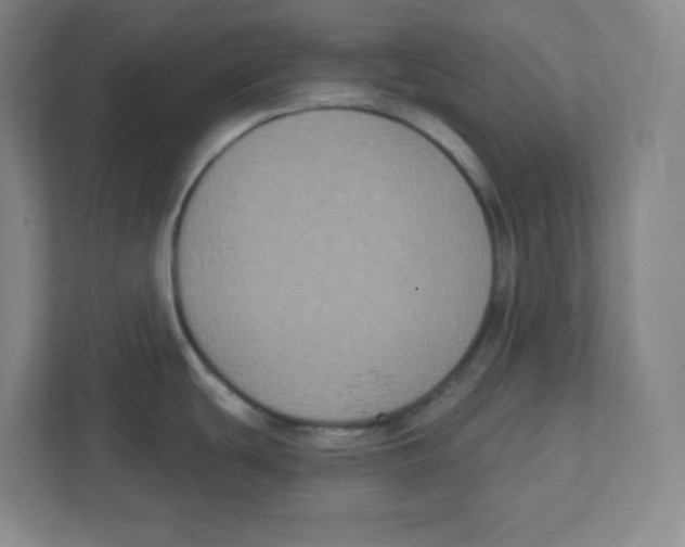 X0000111831439200908201142