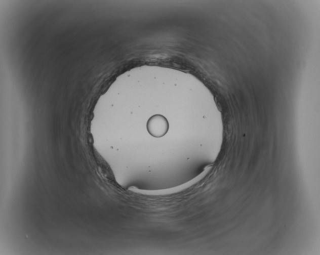 X0000111831441200908201141