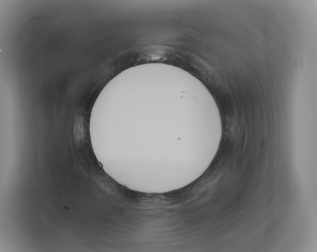 X0000111831442200908201141