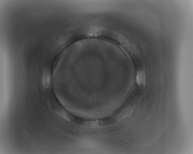 X0000111831444200908201141