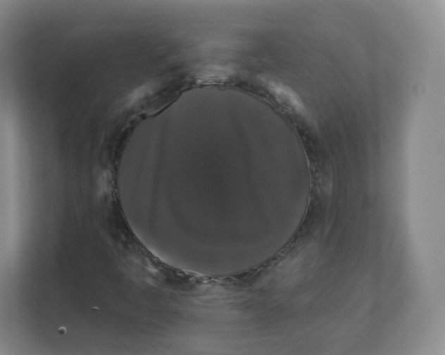 X0000111831445200908201141