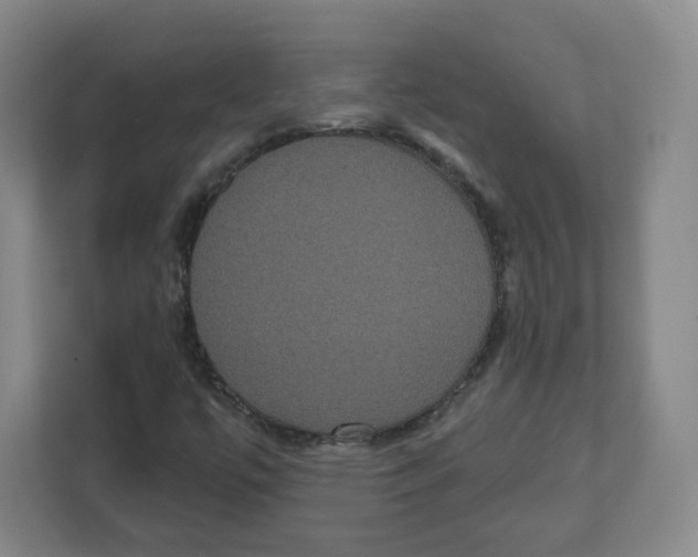 X0000111831447200908201141