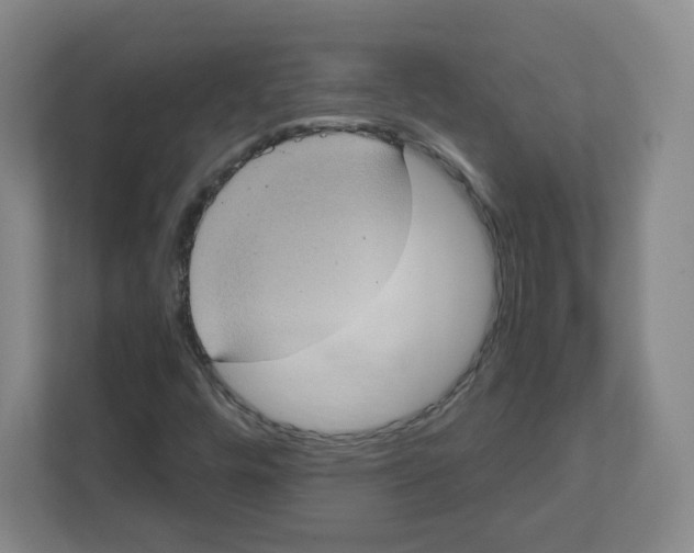 X0000111831448200908201141