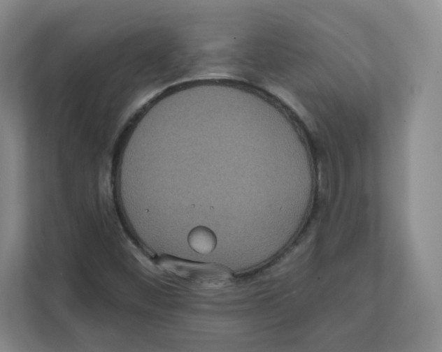 X0000111831452200908201141