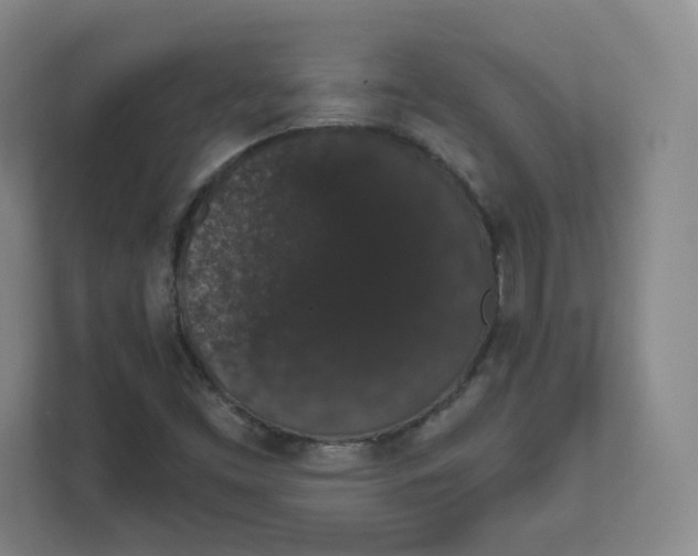 X0000111831453200908201141