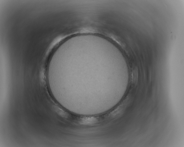 X0000111831454200908201141