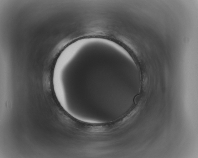 X0000111831455200908201141