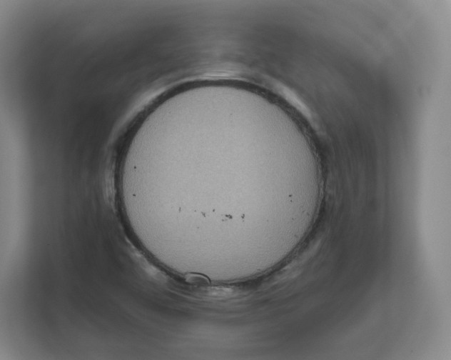 X0000111831456200908201141