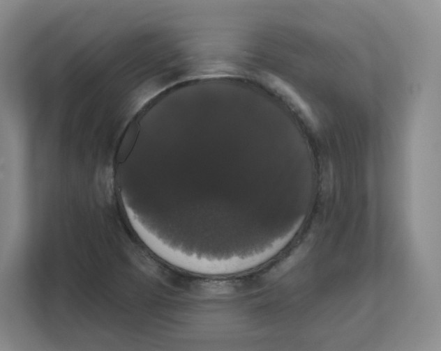 X0000111831457200908201141