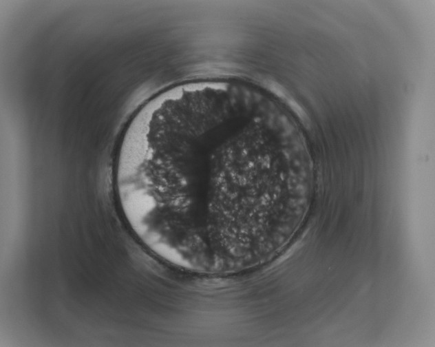 X0000111831459200908201141