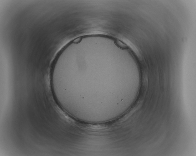 X0000111831460200908201141