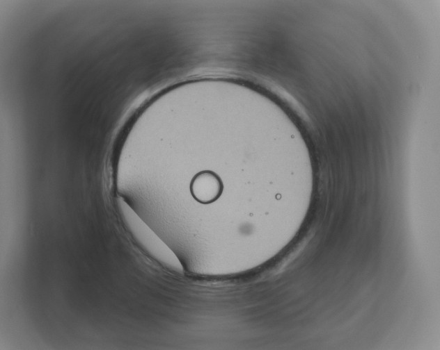 X0000111831461200908201141