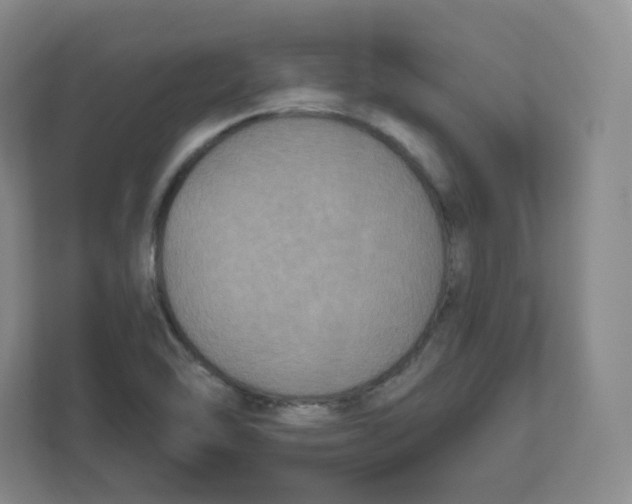 X0000111831462200908201141