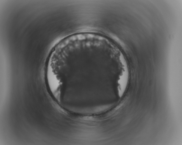 X0000111831463200908201141