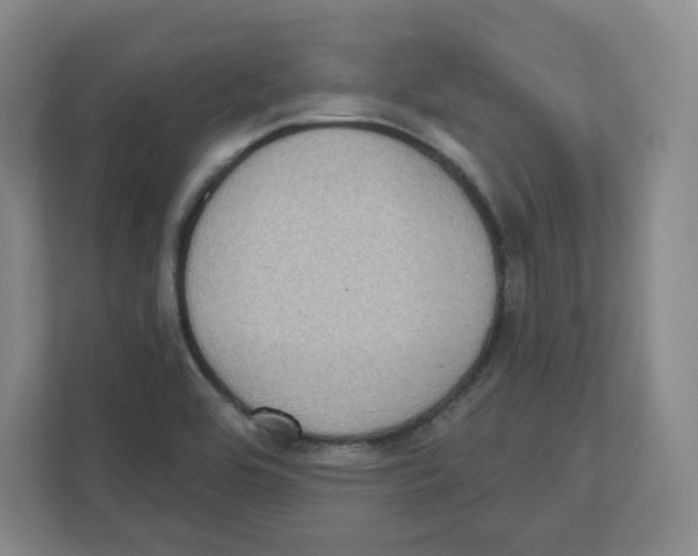 X0000111831464200908201141