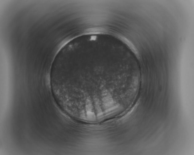 X0000111831465200908201141